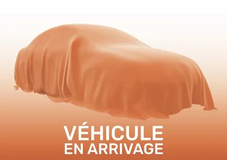 Renault Clio Business TCe 100 - 20