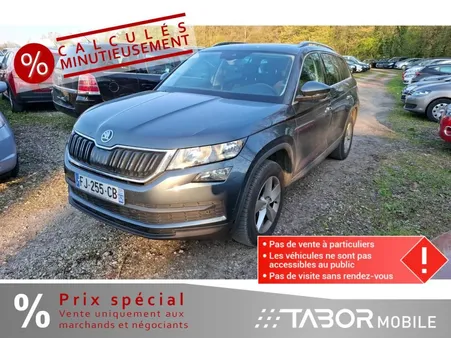 Skoda Kodiaq 2.0 TDI Ambition 4x4 Pano 5S Kamera PDC