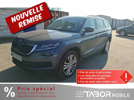 Skoda Kodiaq 2.0 TDI DSG 4x4 Style 5S Kamera Teilleder