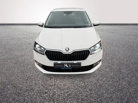 Skoda Fabia (3) 1.0 TSI 110 Style