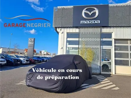 Renault Scenic 1.7 Blue dCi 150ch Initiale Paris EDC