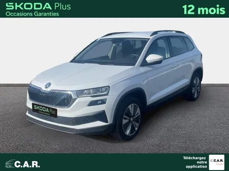 Skoda Karoq 2.0 TDI 116 ch SCR DSG7 Business