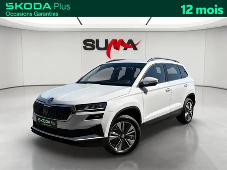 Skoda Karoq 2.0 TDI 116 ch SCR DSG7 Business