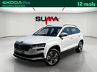 Skoda Karoq 2.0 TDI 116 ch SCR DSG7 Business