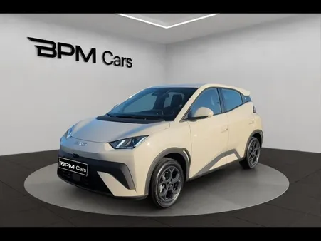 Byd Dolphin Surf 88ch - 43,2 kWh Boost