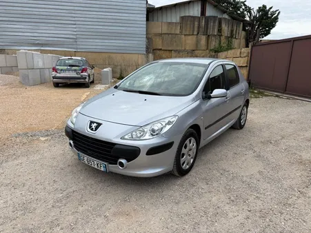 Peugeot 307 1.6L HDi 90cv