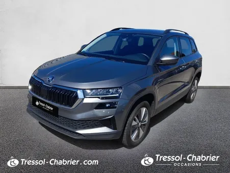 SKODA Karoq 2.0 TDI 116 ch SCR DSG7 Business