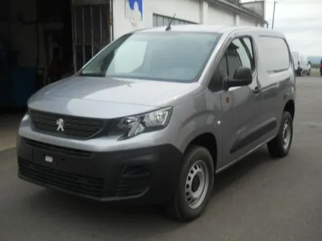 DANGEL Partner 4x4