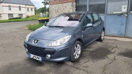 Peugeot 307 2.0 138 Sport