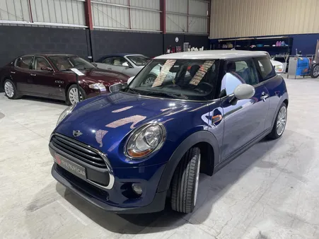 MINI MINI one