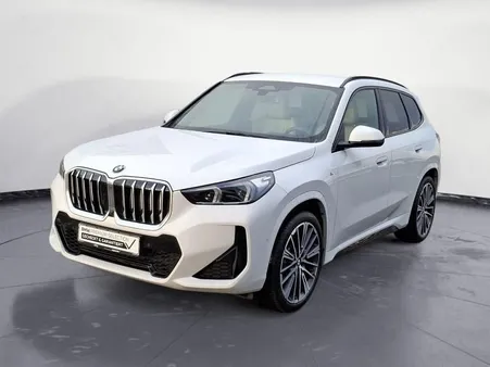 BMW X1 sDrive20i Steptronic M Sportpaket Head-Up AHK