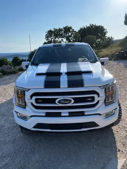 Ford F - 150 / V8