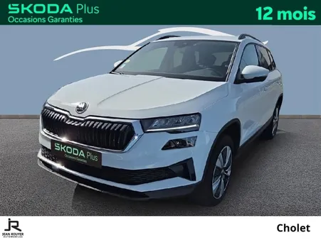 Skoda Karoq 2.0 TDI 116 ch SCR DSG7 Business
