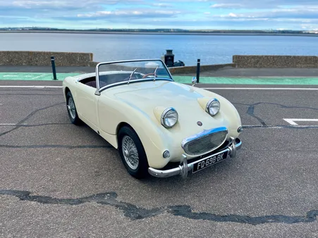 Austin Healey Frogeye - 1959