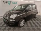 Fiat Panda Pandina 1.0 65ch BSG S&S Hybrid Icône