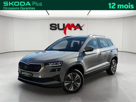Skoda Karoq 2.0 TDI 116 ch SCR DSG7 Business