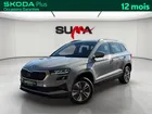 Skoda Karoq 2.0 TDI 116 ch SCR DSG7 Business