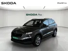 SKODA Karoq 2.0 TDI 116 ch SCR DSG7 Business
