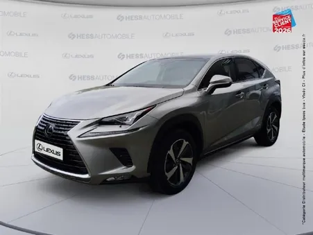 Lexus NX 300h 4WD Executive Euro6d-T