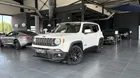 Jeep Renegade 1.6 MultiJet 95ch Brooklyn Edition