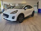 Ford puma flexifuel