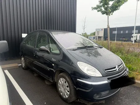 Citron Picasso Automatique