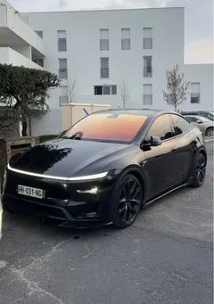 Tesla model y perf