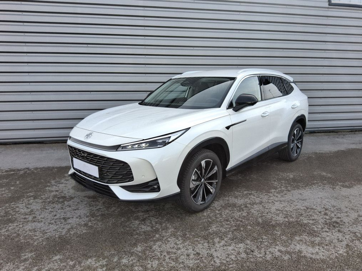 Mg/Mg Motor EHS