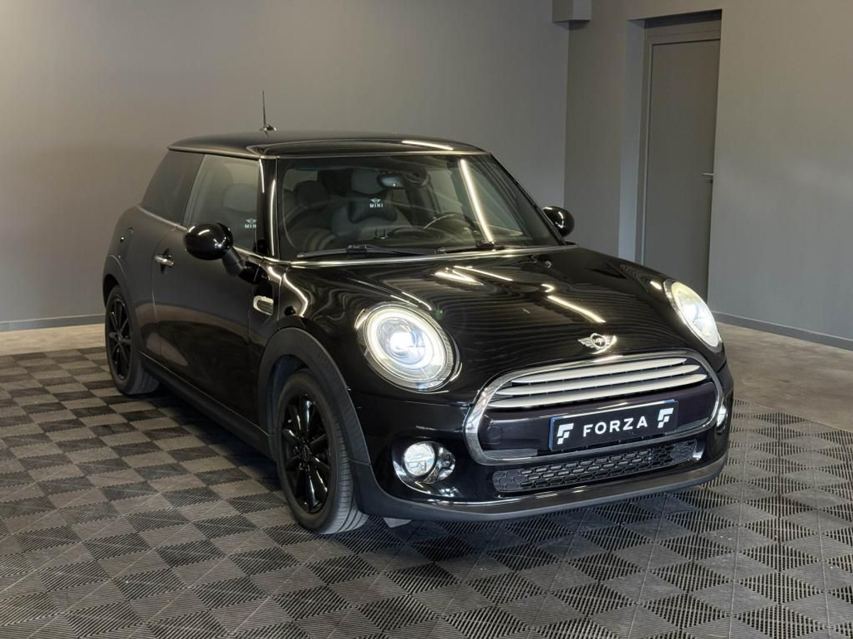 Mini Mini
