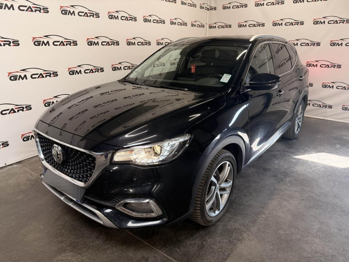 Mg/Mg Motor EHS