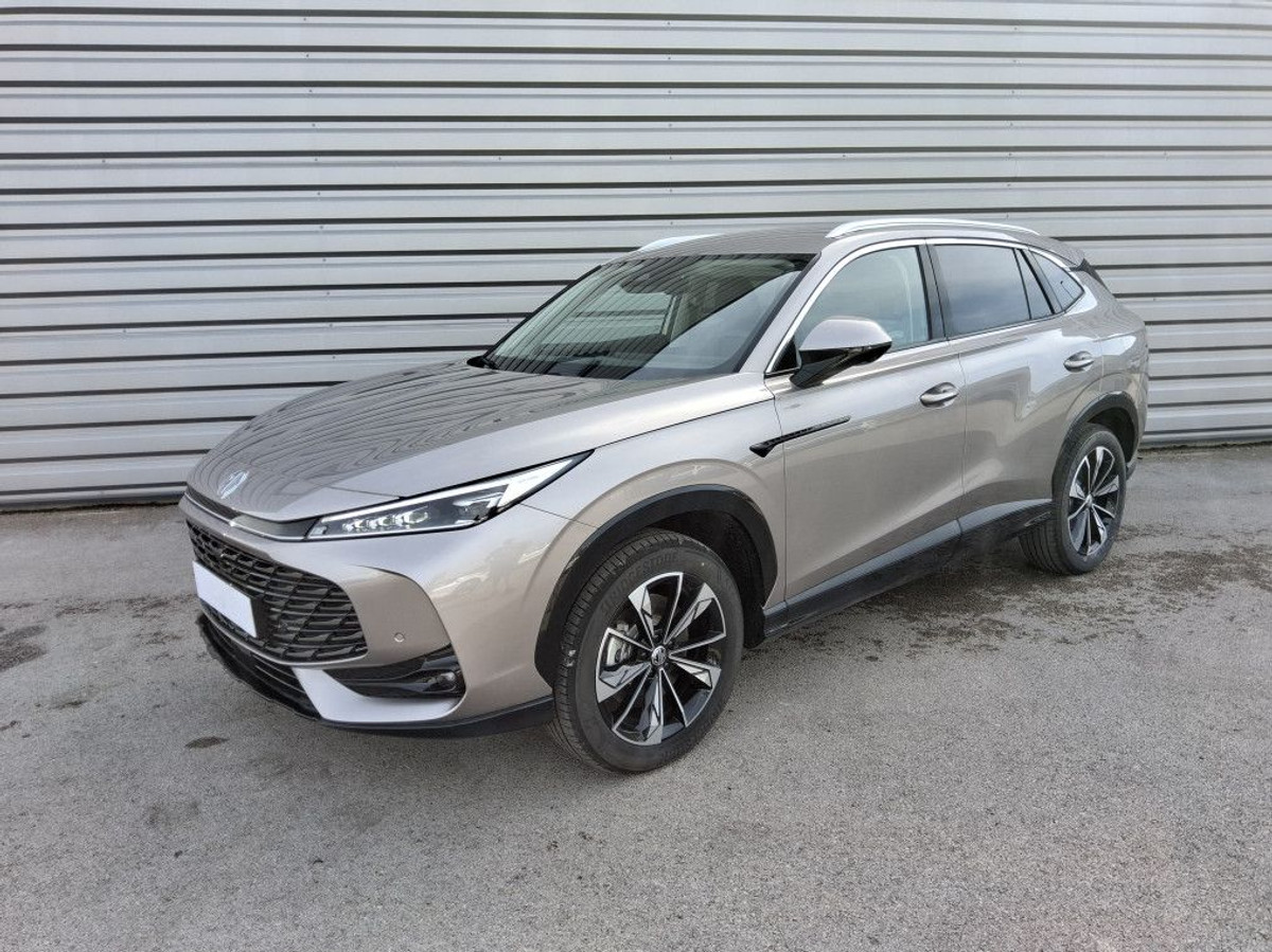 Mg/Mg Motor EHS