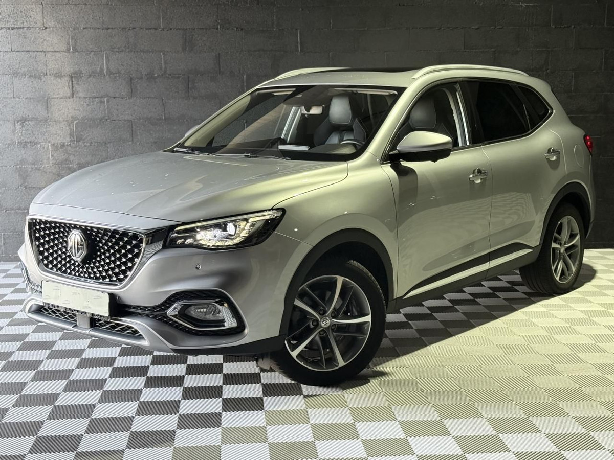 Mg/Mg Motor EHS