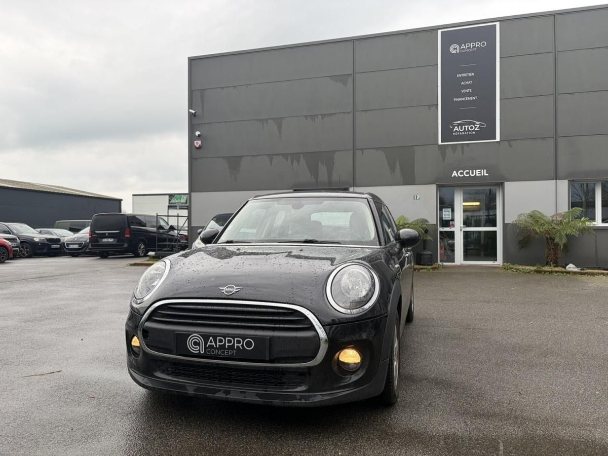 Mini Mini