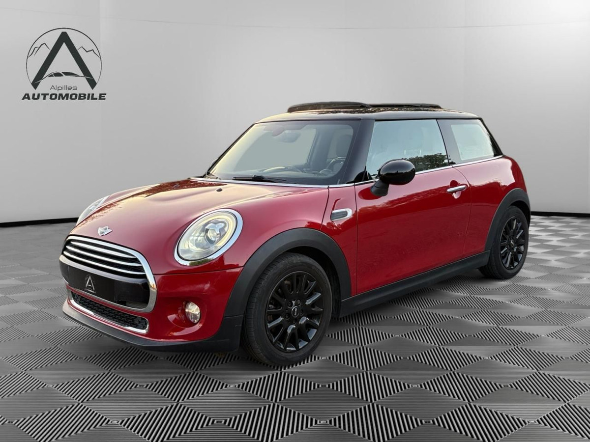 Mini Mini