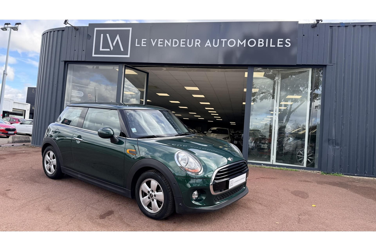 Mini Mini