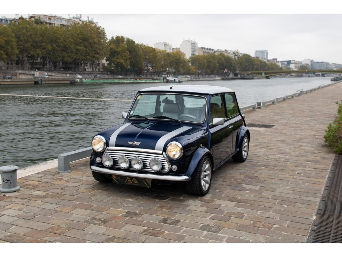 Rover Mini