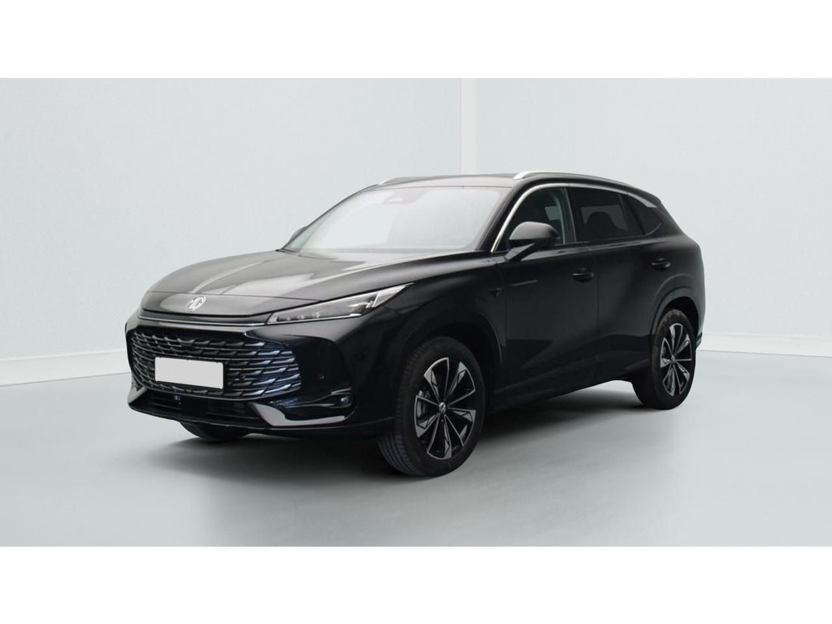 Mg/Mg Motor EHS